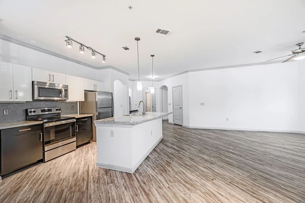 1 bedroom apartment for rent in Braeswood Place - Inner Loop, Houston