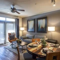 1 bedroom apartment for rent in Braeswood Place - Inner Loop, Houston