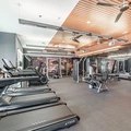 1 bedroom apartment for rent in Braeswood Place - Inner Loop, Houston