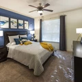 1 bedroom apartment for rent in Braeswood Place - Inner Loop, Houston