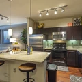 1 bedroom apartment for rent in Braeswood Place - Inner Loop, Houston