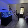 1 bedroom apartment for rent in San Ysidro - South SD, San Diego