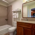 Studio Apartment for rent in North Houston - Nw Houston, Houston