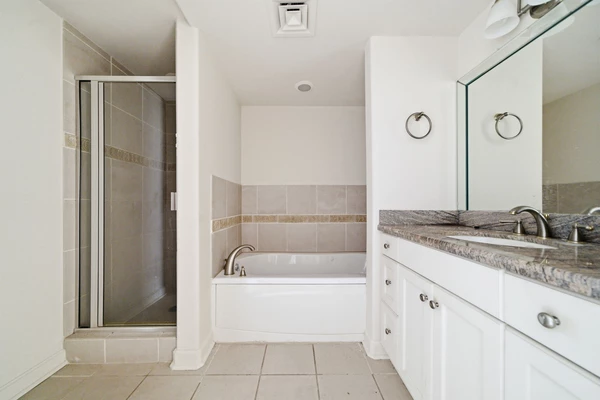 2 bedrooms apartment for rent in Downtown Houston - Inner Loop, Houston