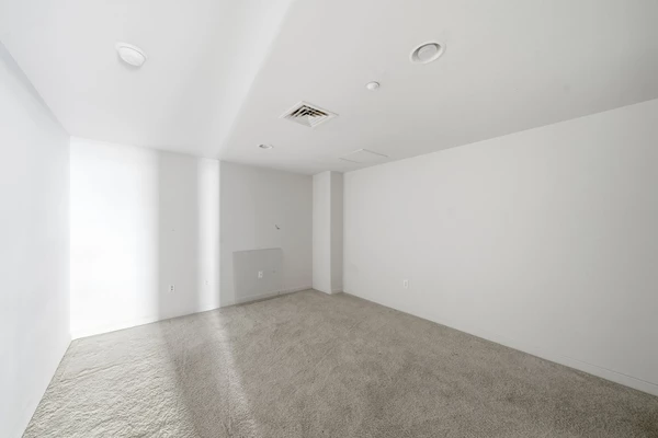 2 bedrooms apartment for rent in Downtown Houston - Inner Loop, Houston