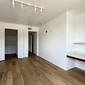 1 bedroom apartment for rent in Braeswood Place - Inner Loop, Houston