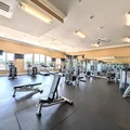 1 bedroom apartment for rent in Braeswood Place - Inner Loop, Houston