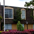 1 bedroom apartment for rent in Woodlake/ Briar Meadow - West Houston, Houston