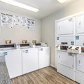 1 bedroom apartment for rent in Gulfton - Sw Houston, Houston