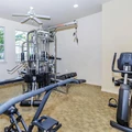 1 bedroom apartment for rent in Gulfton - Sw Houston, Houston