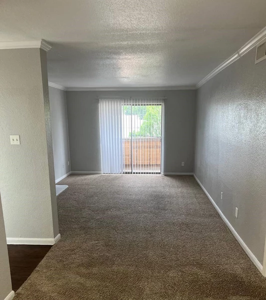 1 bedroom apartment for rent in Chinatown Houston - Sw Houston, Houston