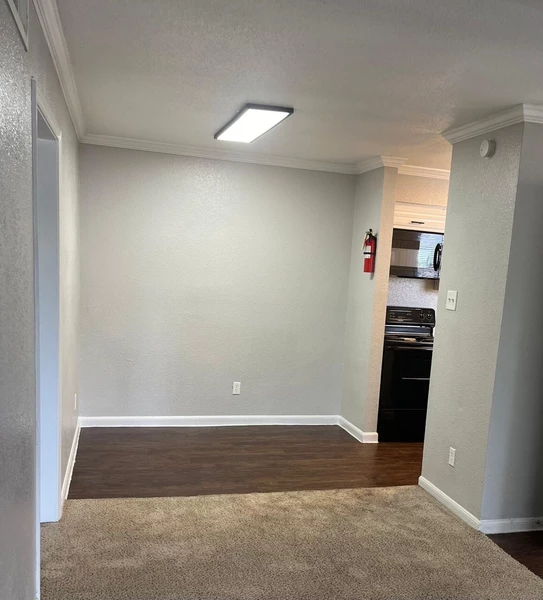 1 bedroom apartment for rent in Chinatown Houston - Sw Houston, Houston