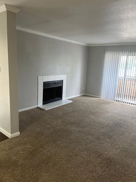 1 bedroom apartment for rent in Chinatown Houston - Sw Houston, Houston