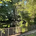 2 bedrooms apartment for rent in Northwood Hills - Ne Dallas, Dallas