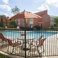 1 bedroom apartment for rent in Braeswood Place - Inner Loop, Houston