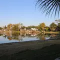 2 bedrooms apartment for rent in Carrollwood - North Tampa, Tampa