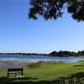 2 bedrooms apartment for rent in Carrollwood - North Tampa, Tampa