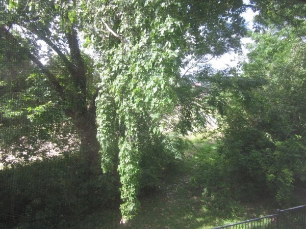 1 bedroom apartment for rent in Fourth Ward - Inner Loop, Houston