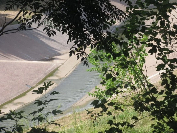 1 bedroom apartment for rent in Fourth Ward - Inner Loop, Houston