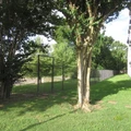 1 bedroom apartment for rent in Fourth Ward - Inner Loop, Houston