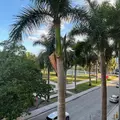 1 bedroom apartment for rent in Edgewater MIA - Miami, Miami