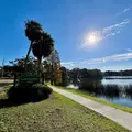1 bedroom apartment for rent in South Eola - Central Orlando, Orlando