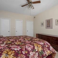 1 bedroom apartment for rent in Braeswood Place - Inner Loop, Houston