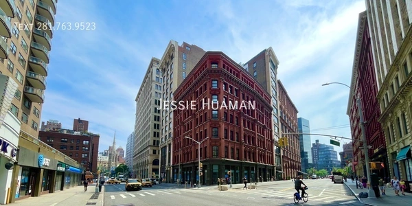 1 bedroom apartment for rent in Noho - Manhattan, New York