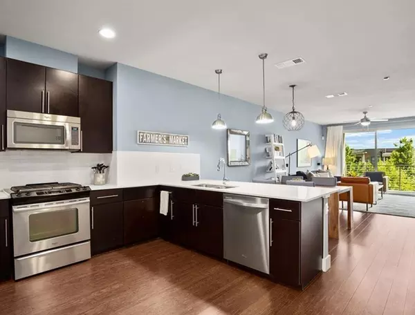 1 bedroom apartment for rent in Dawson - South Central Austin, Austin