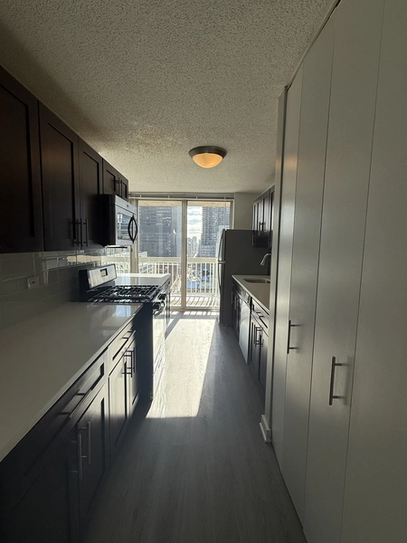 2 bedrooms apartment for rent in River North - Central, Chicago