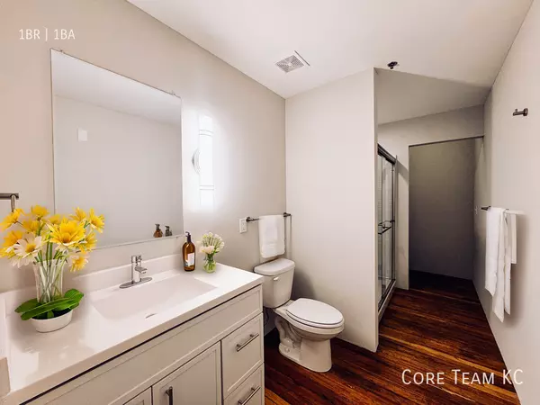 1 bedroom apartment for rent in Downtown Kansas City - KCMO, Kansas City