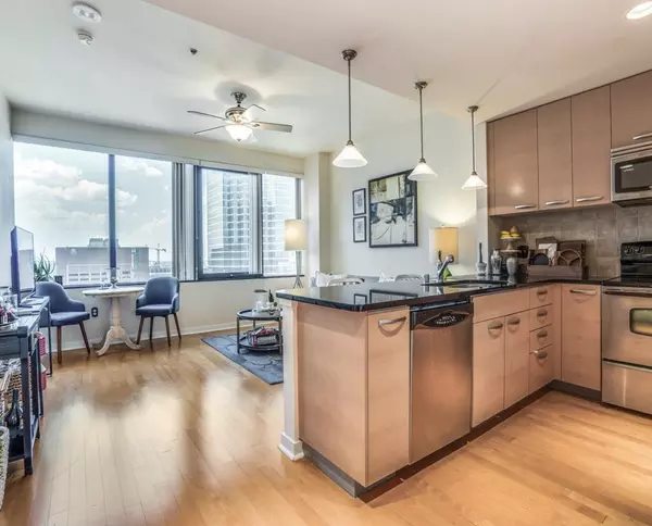 1 bedroom apartment for rent in Downtown Dallas - Ne Dallas, Dallas