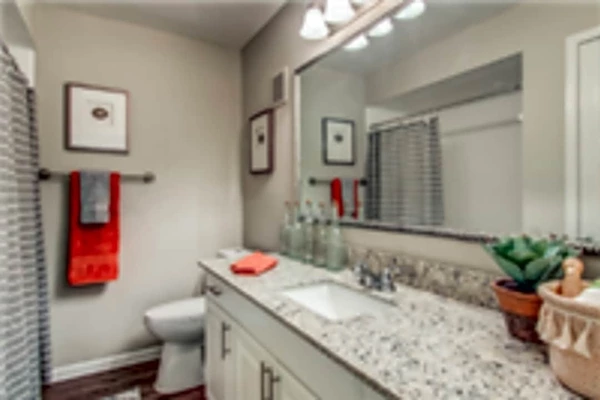 1 bedroom apartment for rent in Addison - Nw Dallas, Dallas