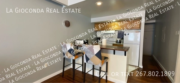 1 bedroom apartment for rent in Southwest Center City - South Philadelphia, Philadelphia