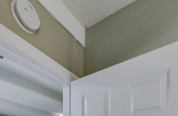 Coliving in Live Oaks Square - East Tampa, Tampa