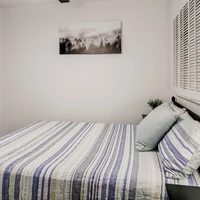 Coliving in University Square - North Tampa, Tampa