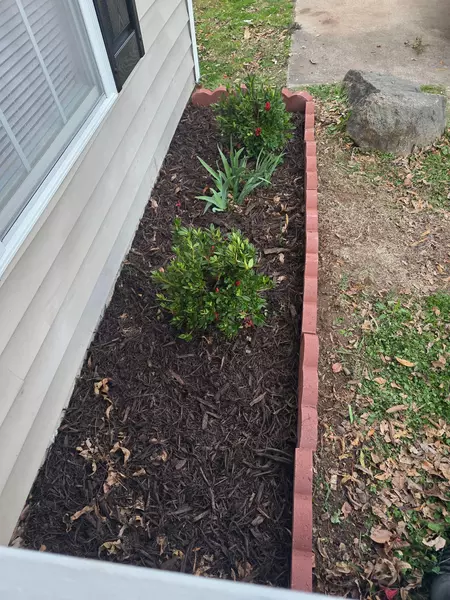 Coliving in East Durham - Durham, Raleigh