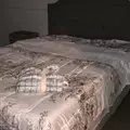 Coliving in Snellville - East Atl, Atlanta