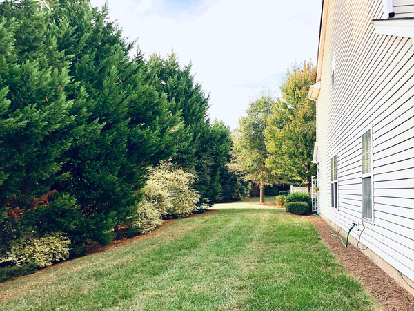 Coliving in Sardis Woods - East Charlotte, Charlotte