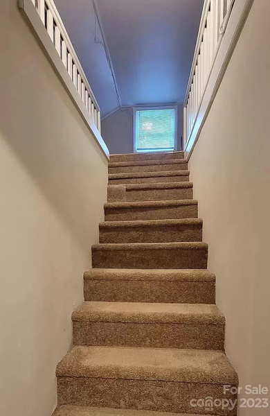 Coliving in Ashley Park - Central Charlotte, Charlotte