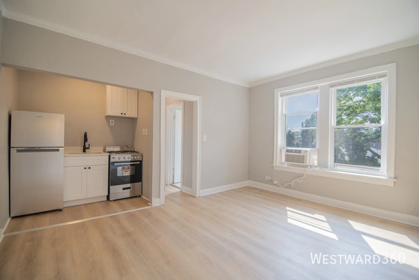 1 bedroom apartment for rent in Rogers Park - Far North Side, Chicago