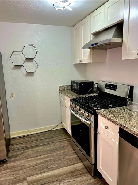 1 bedroom apartment for rent in Montrose - Inner Loop, Houston