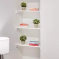 Coliving in Harlem - Manhattan, New York