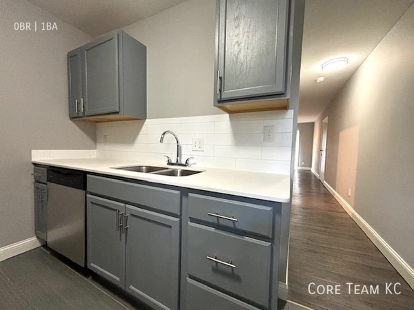 Studio Apartment for rent in Midtown-Westport - KCMO, Kansas City