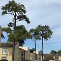 3 bedrooms apartment for rent in Greater Inwood - Nw Houston, Houston