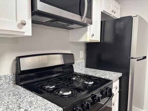 1 bedroom apartment for rent in Midtown Houston - Inner Loop, Houston
