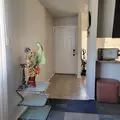 Coliving in Kirby - East SATX, San Antonio