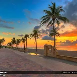 Coliving in Hollywood Fl - Broward County, Miami