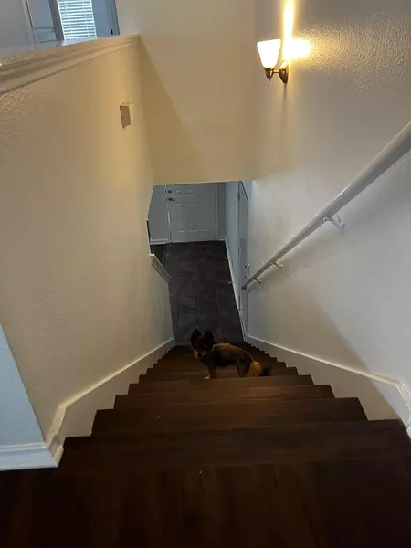 Coliving in Northwest Side - West SATX, San Antonio