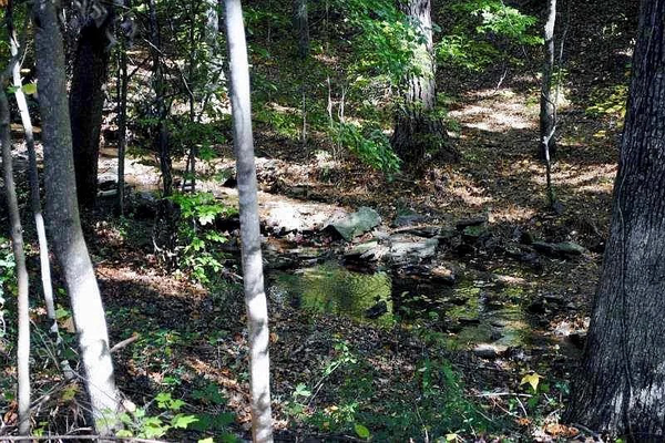 Coliving in Marietta - North Atl, Atlanta